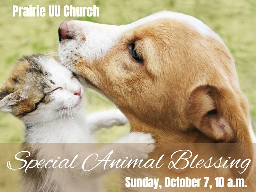 Special Blessing for Our Animal Friends - Prairie Unitarian Universalist  Church