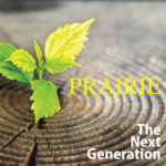 Prairie Vision / Appreciative Inquiry