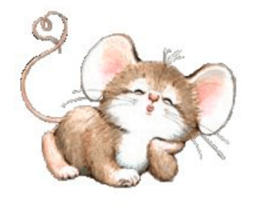 Mouse